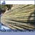 Import Large And Slim Bamboo Poles Raw Bamboo Cane For Materials from Vietnam