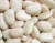 Import Large white lima Beans from Thailand