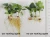 Import Liquid Organic Plant Food Fertilizer- Root Growth Fertilizer from China