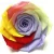 Import made in china new hot product preserved roses for home decoration from China