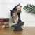 Import Manufacture price colored drawing animal resin crafts display deer horse cow sculpture modern interior home decor accessories from China