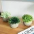 Import Mini Potted Artificial Plants Flowers for Bathroom for Home Office Decor from China