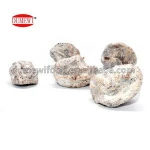 MW-DF-21 salty dried plum/dried fruit snacks