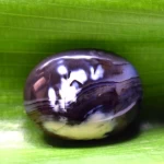 Natural Agate Oval Cabochon Loose Gemstone