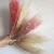 natural real feather flowers in packs for valentine day