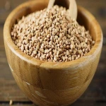 Natural Roasted Buckwheat For Sell