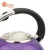 Import New Arrival 304 Stainless Steel Whistling Water Kettle Tea Electric Kettle from China