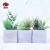 Import New Arrival Modern Eco-friendly Home Decor Mini Artificial Potted Plant ES0950 from China