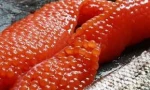 New Arriving on Salmon Roe/Fresh Salmon Roe/Frozen Salmon Roe