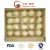 Import New Crop High Quality Fresh Ya Pear Fresh Pear Asian Pear (28/32/36/40/44) from China