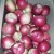 Import New Crop Jiguan Apple for Bangladesh from China