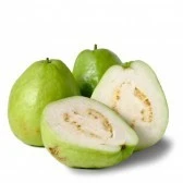 new crops of fresh guava