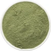 New Products Dried Green Cabbage Kale Powder Steamed From Lumps