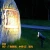 Import Newest lighting product garden path walkway landscape tree spot lights ground spike led lawn light from China
