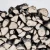 Import Oak / Beech / honbeam / White Ash Firewood Cleaved From Ukraine from Ukraine