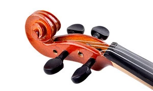 OEM logo V-10 Linden wood violin 4/4 professional for beginner violin kid