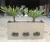 Import OEM stainless steel  plants flower pot decoration metal pots cube planter garden flower pot outdoor box from China