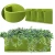 Import One one Multi-Pockets Wall-mount Grow Bag Outdoor Plant Grow Bag from China