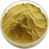 Best Quality Organic Burdock Root Extract Powder