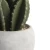Import Original Design Emerald Color  Indoor  Decorative Plants Cactus Artificial Bonsai from China