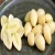 Import Peeled Ginkgo Nuts and Raw Ginkgo Nuts from China
