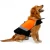 Import Pet Supplies Waterproof Dog Life Vest Reflective Dog Pet Life Jacket from China