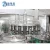 Import PET&Glass Juice Bottling Machine/Making Plant/Production Line from China