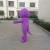 Import Plush cheap adult barney mascot costume for advertising from China