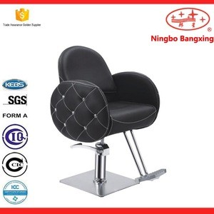 portable barber chair / classic beauty chair / salon chair BX-3010