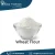Import Premium Quality of Natural Grain Product Whole Wheat Flour at Factory Price from India
