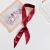 Import Printed Handbag Handle Ribbon Luxury Brand Small Silk Scarf from China