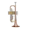 Professional BB key Gold lacquer Trumpet ( ZTR-4000)