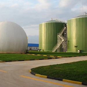Professional manufacturer provide waste to energy machines biogas digester/poultry manure treatment