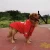 Pupreme Dog Windbreaker Dog Hoodies Pet Clothes Ropa Perro for small and big dogs