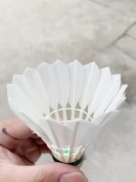 QiCaiYu Aeroplane Badminton Duck Feather Shuttlecock For Professional Tournament Shuttles Cock
