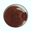 Raw material Antioxidant OPC 95% grape seed extract