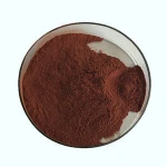 Raw material Antioxidant OPC 95% grape seed extract