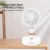 Import Rechargeable Table Desk Fan Electric Mini Portable Fans Wireless USB Small Stand Floor Hand Charging Fan from China