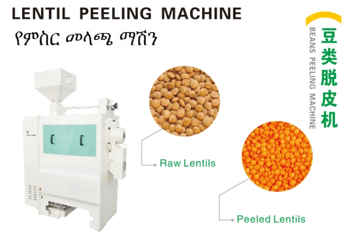Red Lentil Peeling and Splitting Machinery Yellow Lentils Peeler Peeling Machine Bean Processing Dry Beans 1-3.5T/H Win Tone