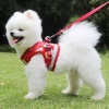 Reflective Pet Products Dog Harness Leash Set Pet Accessories Vest Dog Leashes
