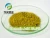 Import rosemary extract ,carnosic acid powder 5%-90% from China