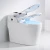 Import sanitary ware ceramic floor mounted automatic toilet flush concealed tank electric toilet with CUPC from China