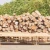 Import saw Timber flooring raw material from Indonesia from China