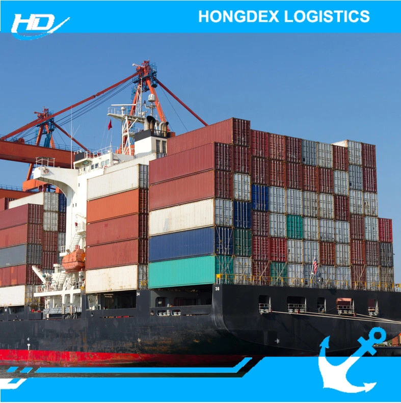 sea freight service from china to egypt