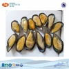 Seafood Shellfish Frozen Half Shell Mussel