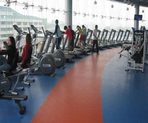 Shipping is free for Gym rubber flooring /fitness room floor price