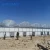 Import single-span manufacturer garden greenhouses film greenhouse for sale from China