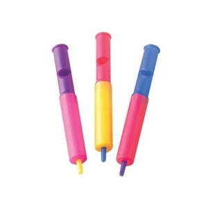 Slide Whistle Toy