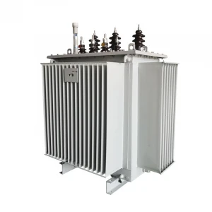 SNTOOM 33KV Oil Immersed Transformer Supplier 100KVA Power Transformer  High Voltage Transformer Oil