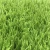 Import Soccer Field Turf Artificial Turf For Sale,cheap Sports Flooring Football Artificial Grass from China